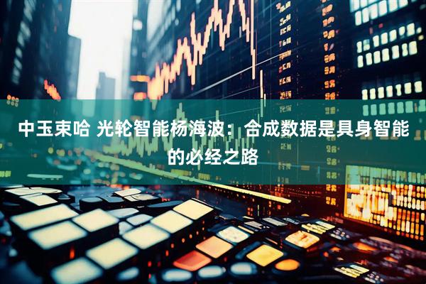 中玉束哈 光轮智能杨海波：合成数据是具身智能的必经之路