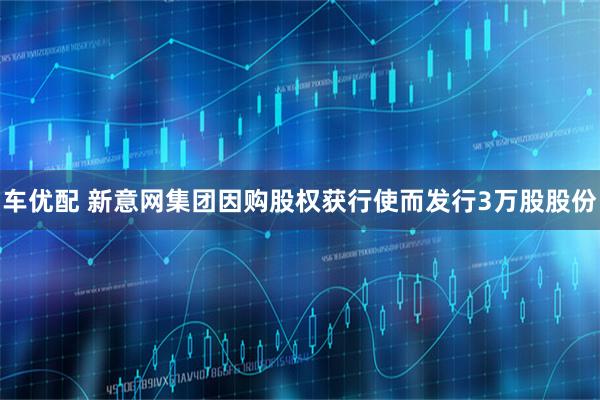 车优配 新意网集团因购股权获行使而发行3万股股份