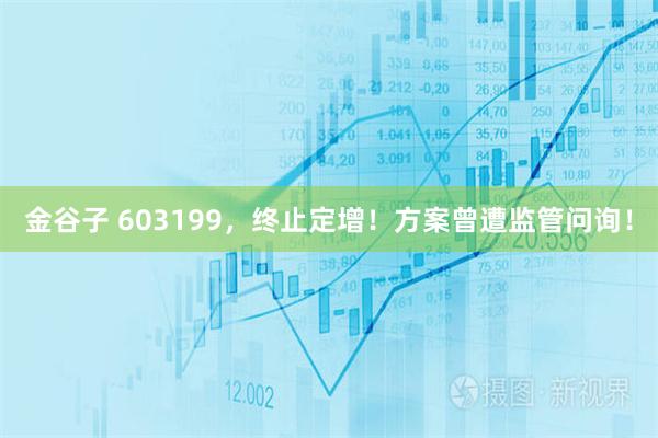 金谷子 603199，终止定增！方案曾遭监管问询！