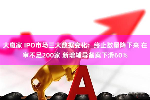 大赢家 IPO市场三大数据变化：终止数量降下来 在审不足200家 新增辅导备案下滑60%