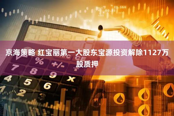 京海策略 红宝丽第一大股东宝源投资解除1127万股质押