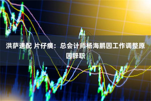 洪萨速配 片仔癀：总会计师杨海鹏因工作调整原因辞职
