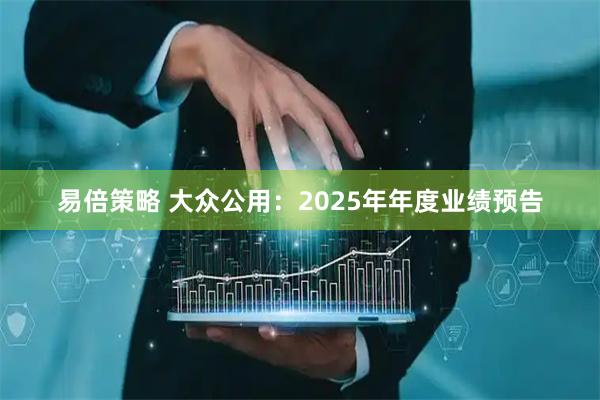 易倍策略 大众公用：2025年年度业绩预告